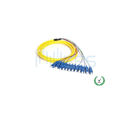 SC-UPC-12-fibers(2)_Thaifiber.jpg SC-UPC-12-fibers(2)_Thaifiber.jpg